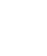 Fish over waves